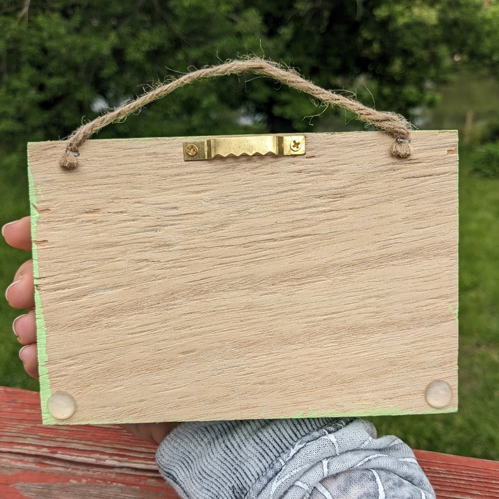 Turtle Wall Hanging Resin Handmade Green Art Wood Shadowbox Canvas Turtles - Picture 8 of 8